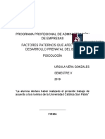 Factores Paternos Que Afectan El Deasrrollo Prenatal Del Bebe