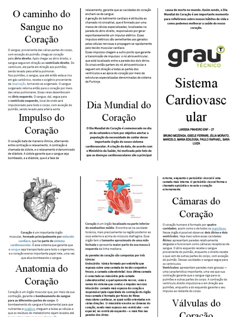 Folder Cardiovascular 1.0 | PDF | Coração | Átrio (coração)