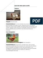 Principais Raças de Aves para Corte