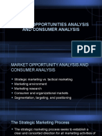 Market Opportunities Analysis and Consumer Analysis