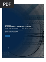 Trabalhando Com Vetores