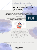 Facultad de Ciencias de La Salud: Programa de Psicologia CURSO: Psicología Del Desarrollo Tema
