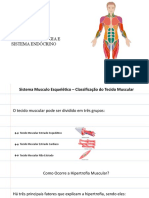 Aula 1: Anatomia, Fisiologia E Sistema Endócrino