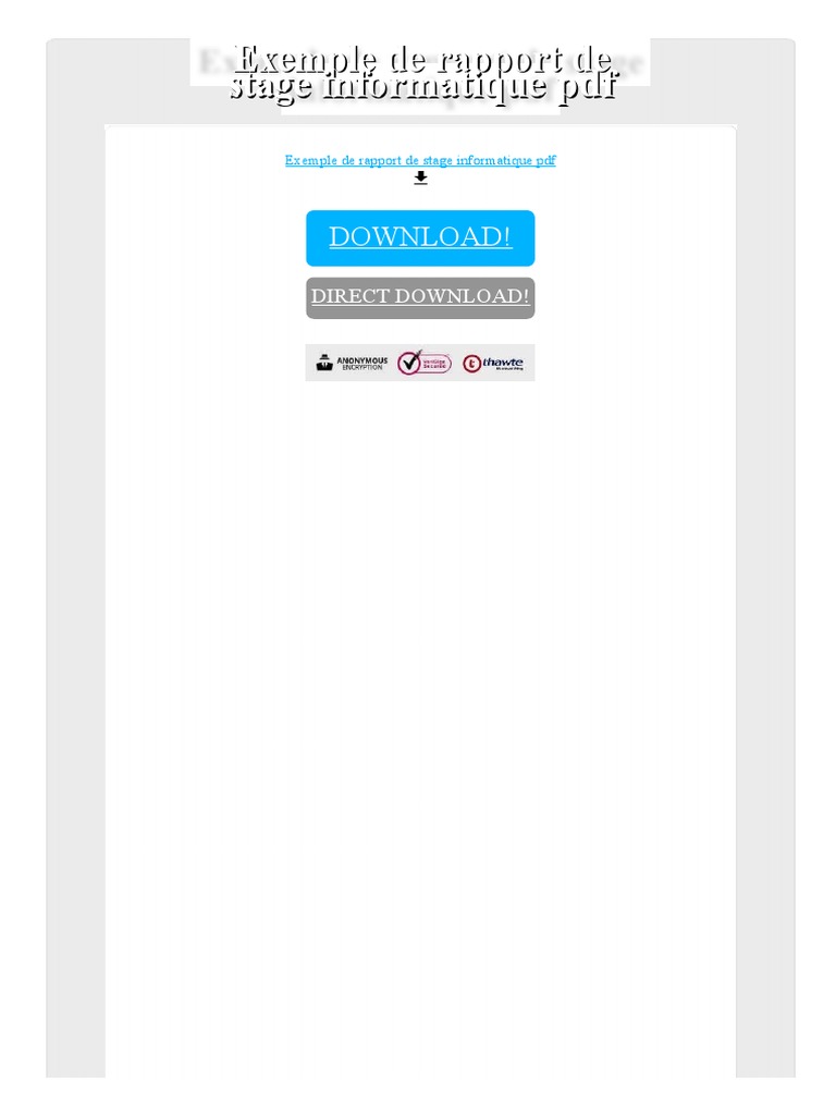 Rapport de Stage Informatique | PDF