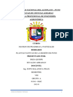 Universidad Nacional Del Altiplano - Puno Facultad de Ciencias Agrarias Escuela Profesional de Ingeniería Agronómica