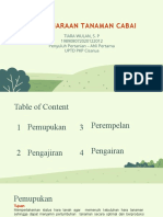 Pemeliharaan Tanaman Cabai 1