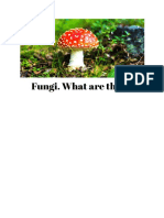 Fungi. What Are They