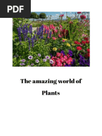 The amazing world of Plants