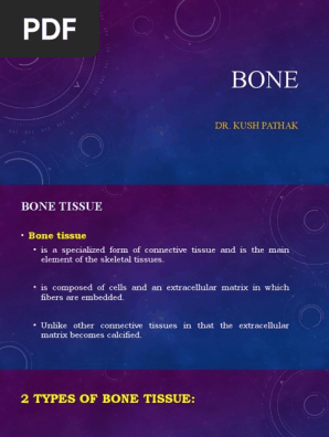 Bone