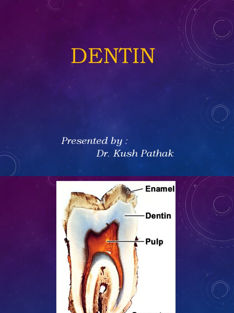Dentin PDF Dentin Tooth Enamel