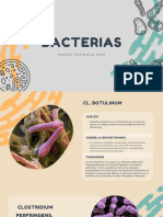 BACTERIAS