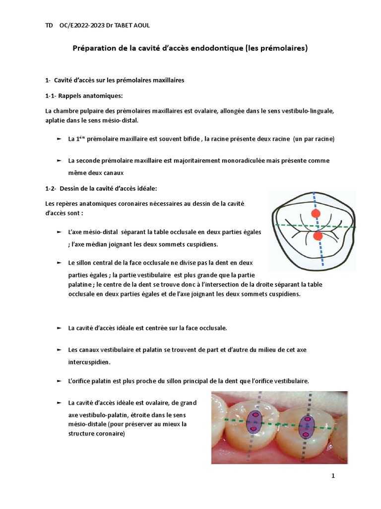 Kit De Fraises Dentaires FG5008D Pour Pulpotomie - Diamant - Neuf