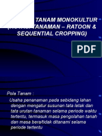 Vii. Pola Tanam Monokultur (Rotasi Tanaman - Ratoon & Sequential Cropping)