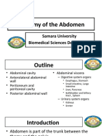 Anatomy of The Abdomen: Samara University Biomedical Sciences Department