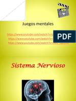 Sistema Nervioso EXTRA
