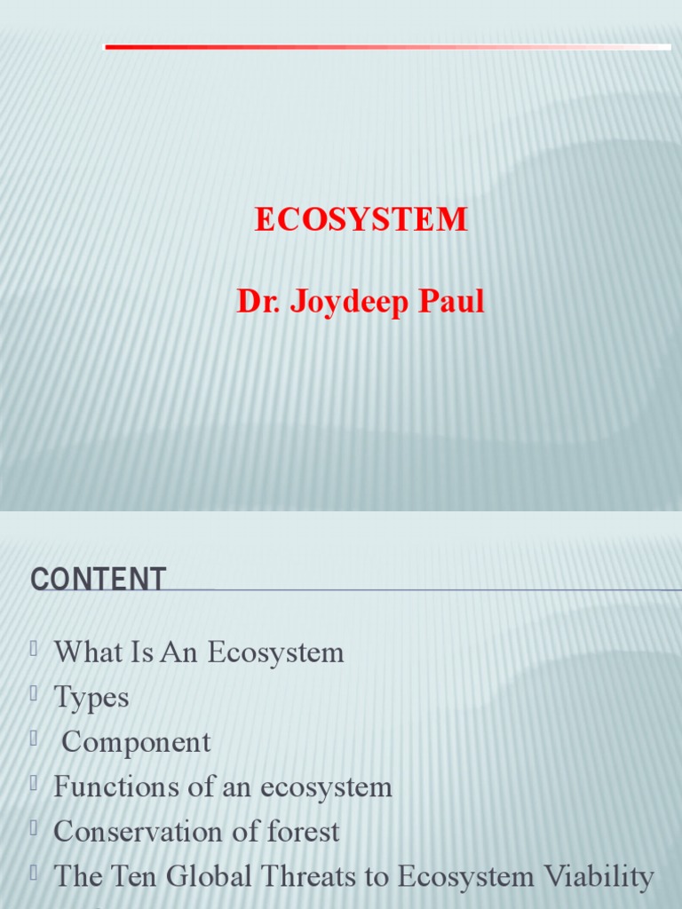 Understanding Ecosystems: Key Concepts | PDF | Food Web | Ecosystem