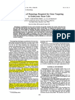 The Length of Homology Required For Gene Targeting