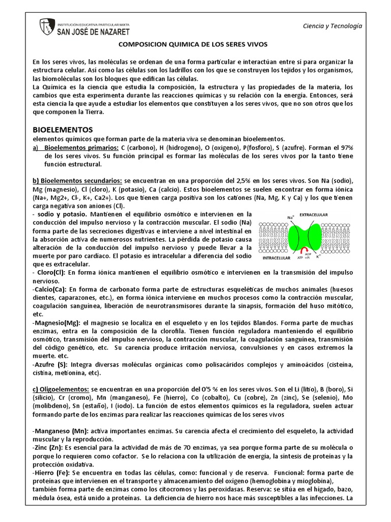 Composicion Quimica de Los Seres Vivos | PDF | Tiroides | Organismos