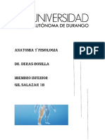 Miembro Ing PDF