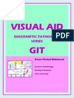 Visual Aid Diagramatic Pathology Sereies, Git