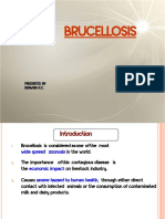 Brucellosis: Presented by Presented by Bhawna K.C. Bhawna K.C