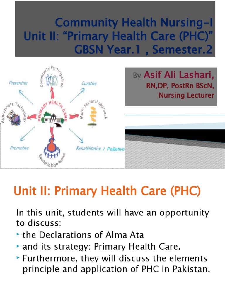 Primary Health Care in Community Nursing | PDF | Health Professional ...
