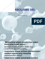 Metabolisme Sel - Katabolisme