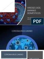 Viroses Dos Animais Domésticos: Thaís Carneiro SEMESTRE 2021.2