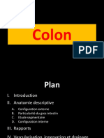 Colon