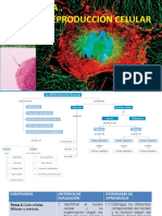 Biologia Reproduccion de La Celula