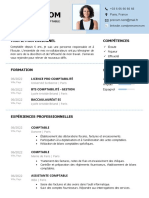 115 Curriculum Vitae Comptable