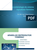 Anatomia E Embriologia Do Sistema Reprodutor Feminino: Dr. MSC Joel Alsina Vázquez Profesor Asistente
