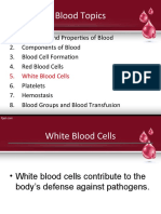 A and P II Blood 2