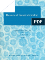 THESAURUS - of Sponge Morphology