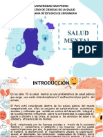 Salud Mental: Universidad San Pedro Facultad de Ciencias de La Salud