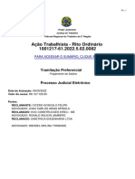 Ação Trabalhista - Rito Ordinário 1001217-61.2022.5.02.0082