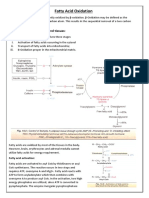 Fatty Acid Oxidation Stages and Tissues