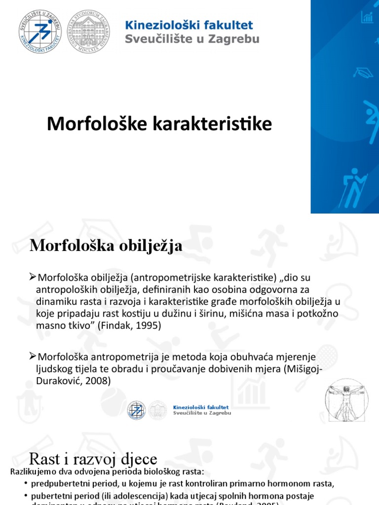 Morfološke Karakteristike | PDF