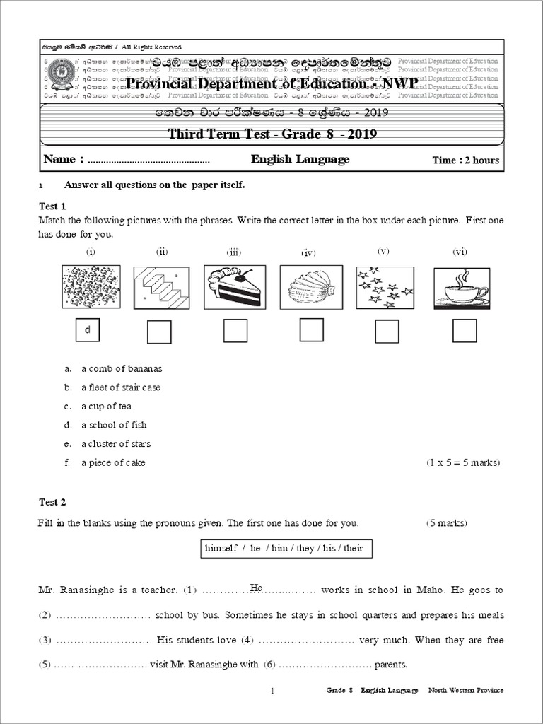Grade 8 English 3rd Term Test 2019 | PDF | Home & Garden