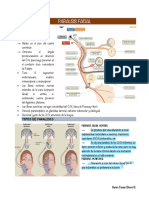 Paralisis Facial