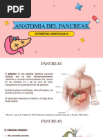 Anatomia Del Pancreas: Optometria-Odontologia III