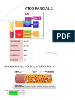 Guía de Hematologia