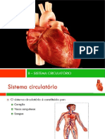 Sistemaa Cardiovascularr