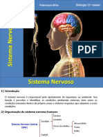 Sistema nervoso central e periférico