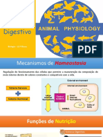 1.sistema Digestivoo