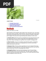 Download 4 Makanan Pendongkrak Kejantanan by rifki1976 SN63693560 doc pdf