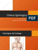 Dr. Julio Brambilla G Cátedra de Clínica Quirúrgica