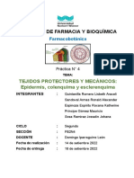 Facultad de Farmacia Y Bioquímica: Tejidos Protectores Y Mecánicos: Epidermis, Colenquima y Esclerenquima