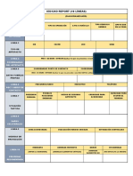 Ied/Uxo Report (10 Líneas) : Linea 2