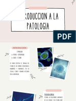 Introduccion A La Patologia